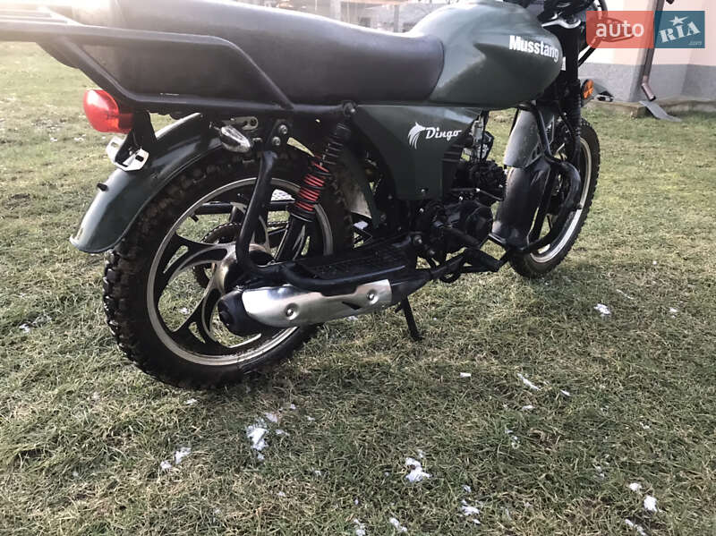 Мотоцикл Многоцелевой (All-round) Musstang Dingo 2020 в Иршаве