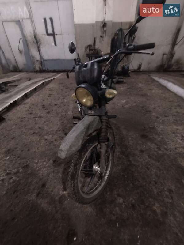 Musstang Dingo 2017 Musstang Dingo 2017