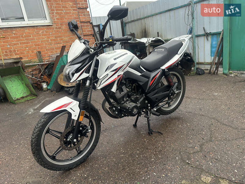 Musstang Fortuna 200 2023