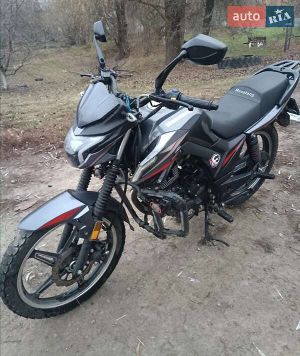 Мотоцикл Позашляховий (Enduro) Musstang MT 200 Region 2023 в Ніжині