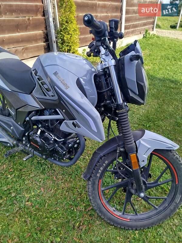 Мотоцикл Позашляховий (Enduro) Musstang MT 250 Region 2025 в Стрию