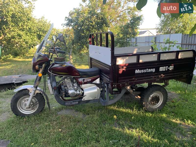 Вантажні трицикли Musstang MT200ZH-4V 2019 в Царичанці