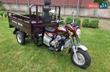 Грузовые трициклы Mustang BL 2019 в 