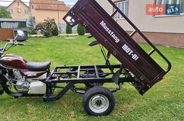 Грузовые трициклы Mustang BL 2019 в 