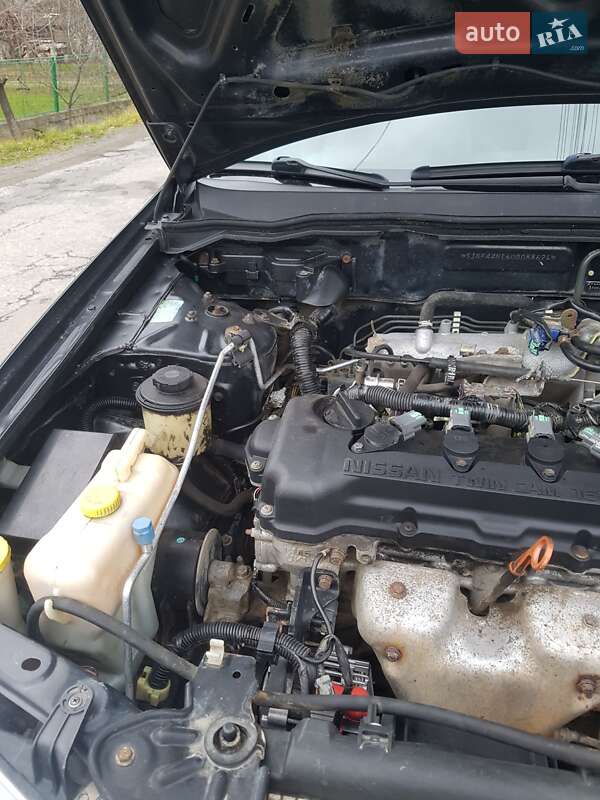 Хэтчбек Nissan Almera 2000 в Надворной