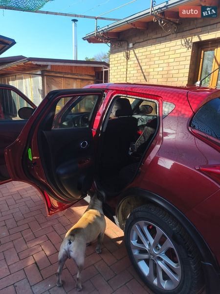 Позашляховик / Кросовер Nissan Juke 2012 в Сумах фото 20 Позашляховик / Кросовер Nissan Juke 2012 в Сумах