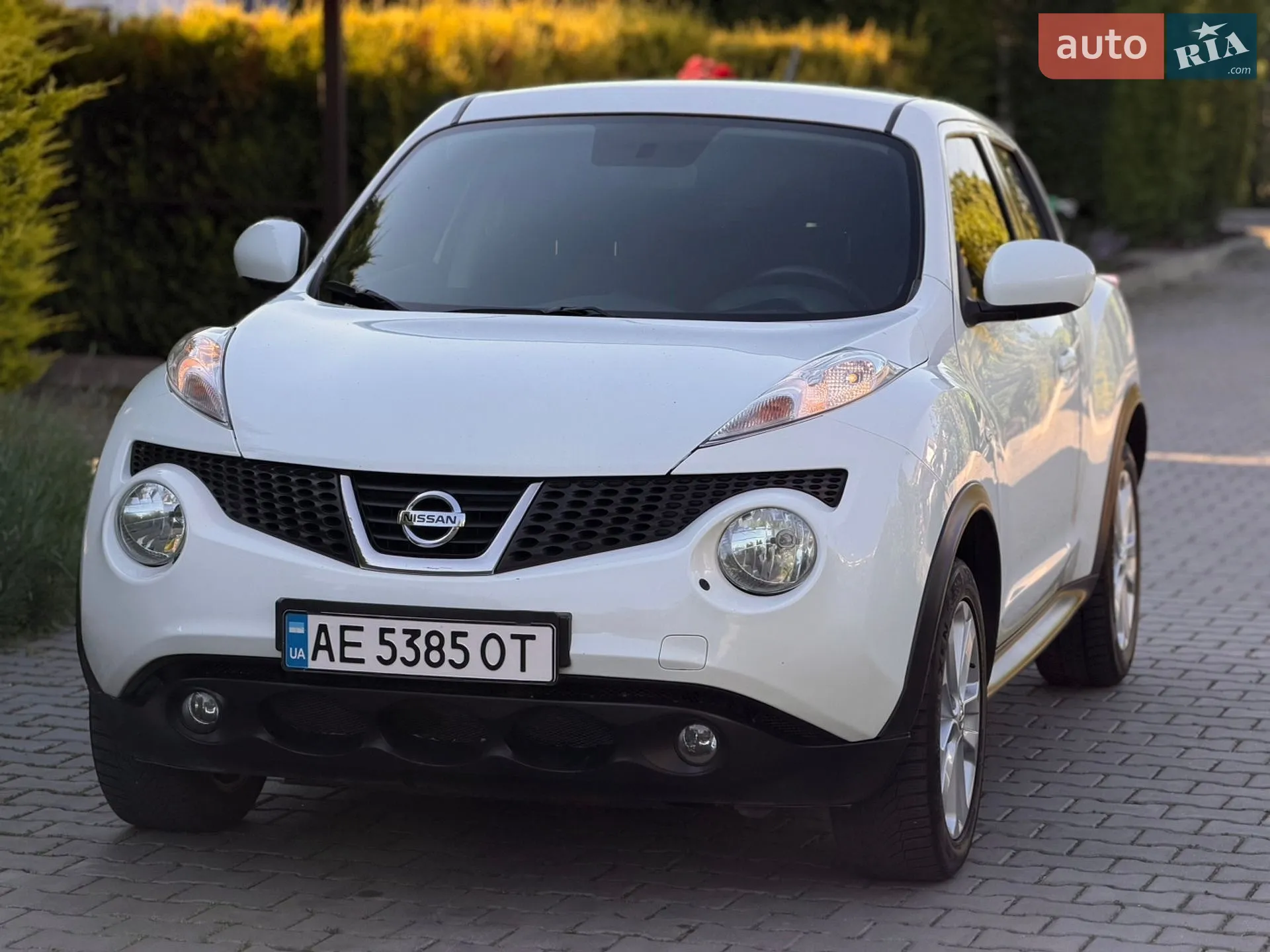 2013 Nissan Juke - мініатюра 12