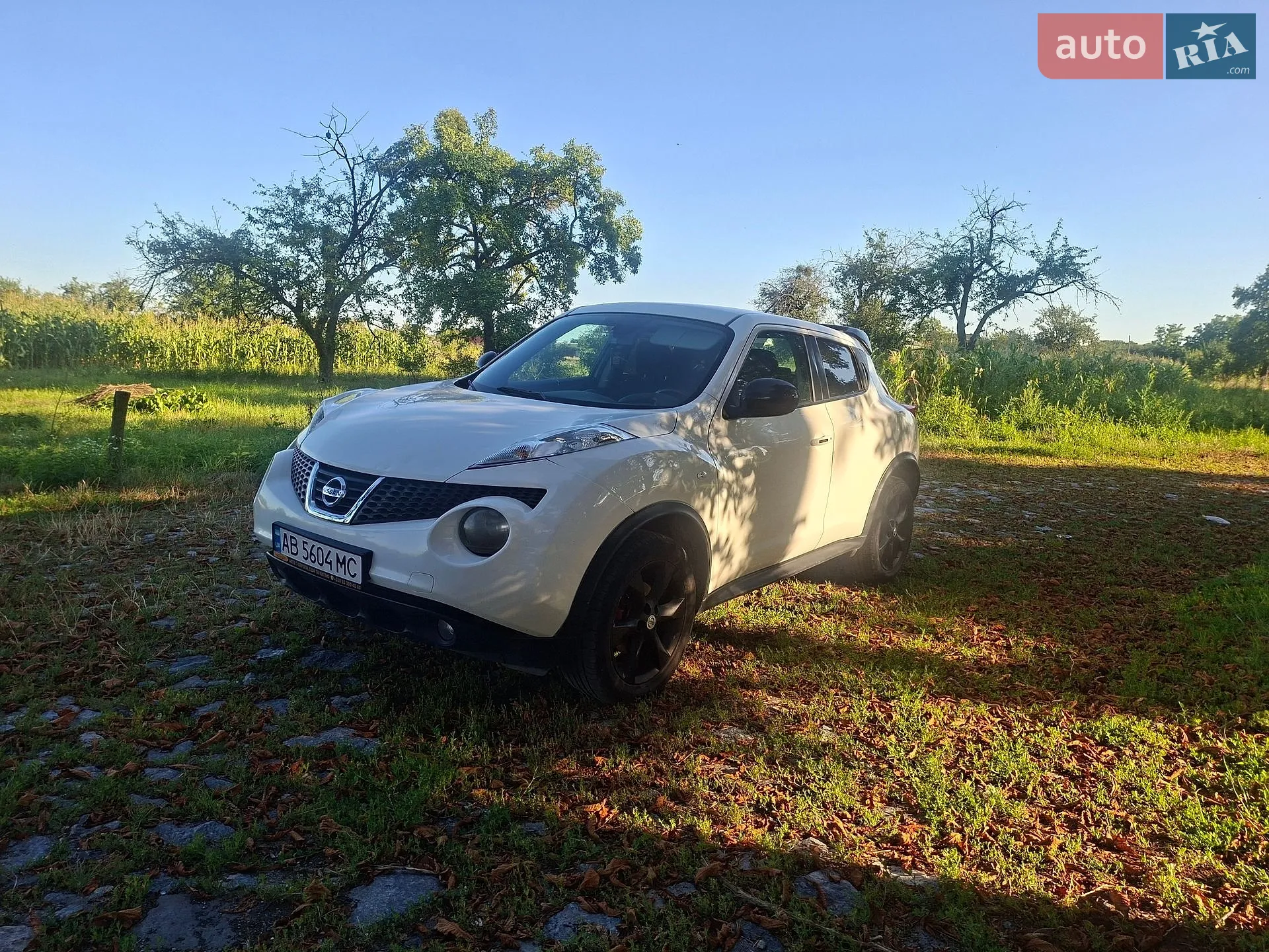 2011 Nissan Juke - мініатюра 6