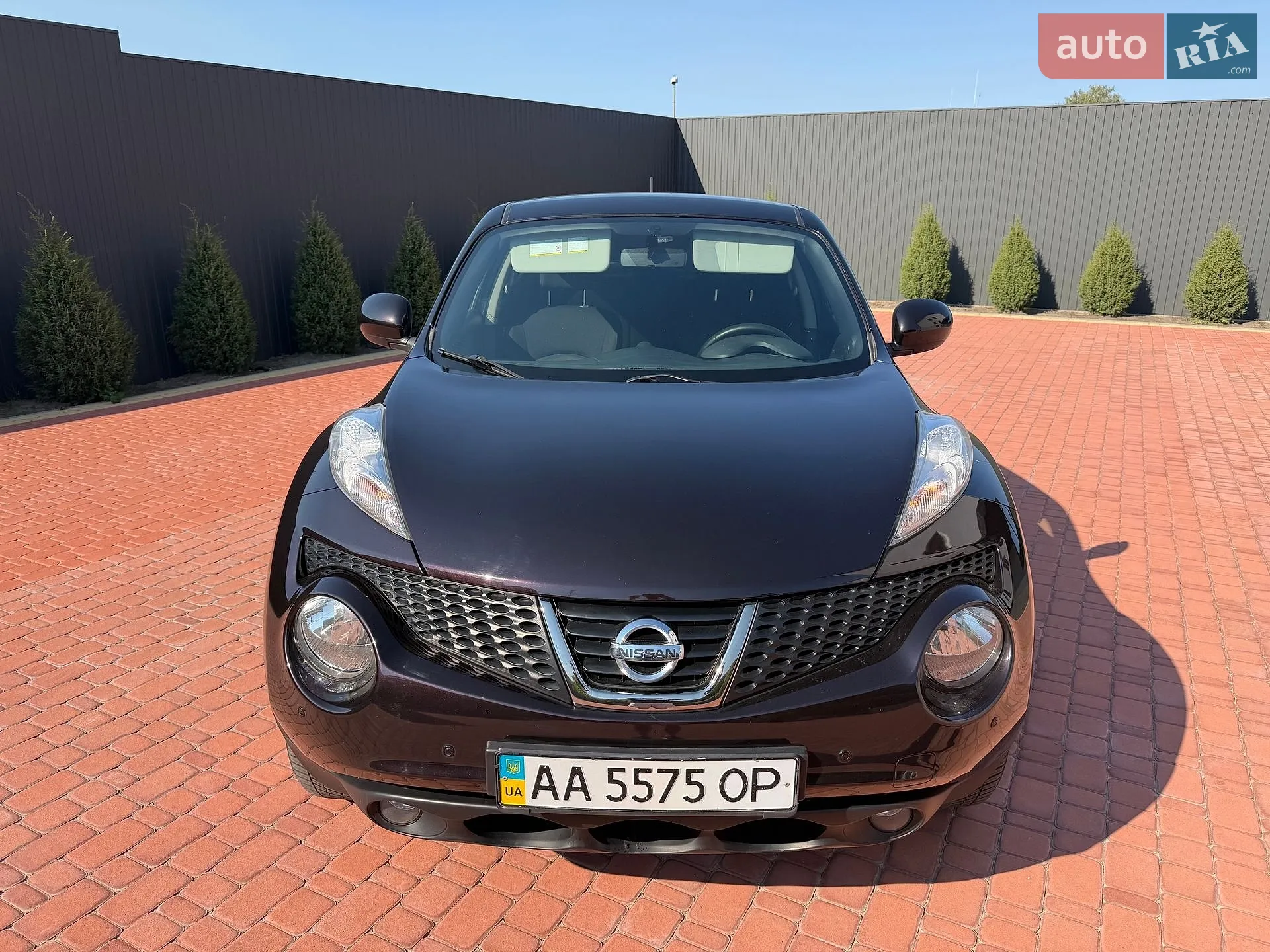 2014 Nissan Juke - мініатюра 10