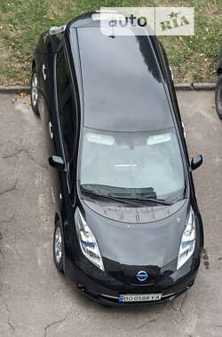Nissan Leaf 2013 Nissan Leaf 2013