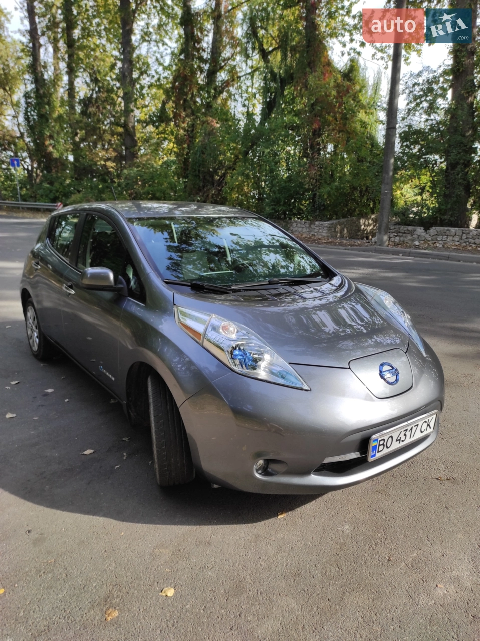 2014 Nissan Leaf - мініатюра 10