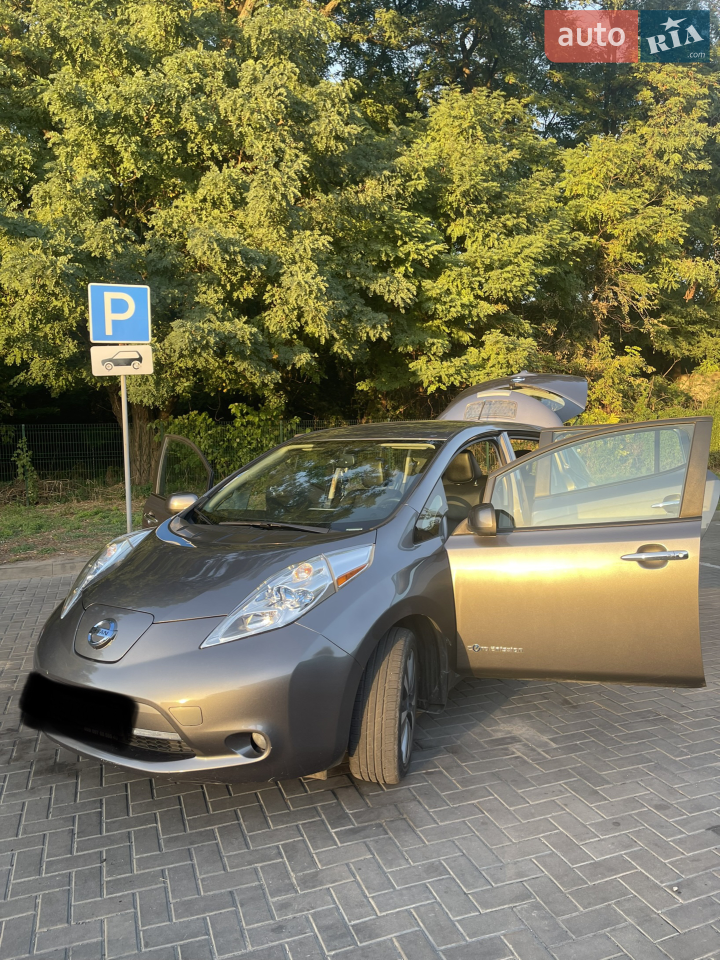 2014 Nissan Leaf - мініатюра 5
