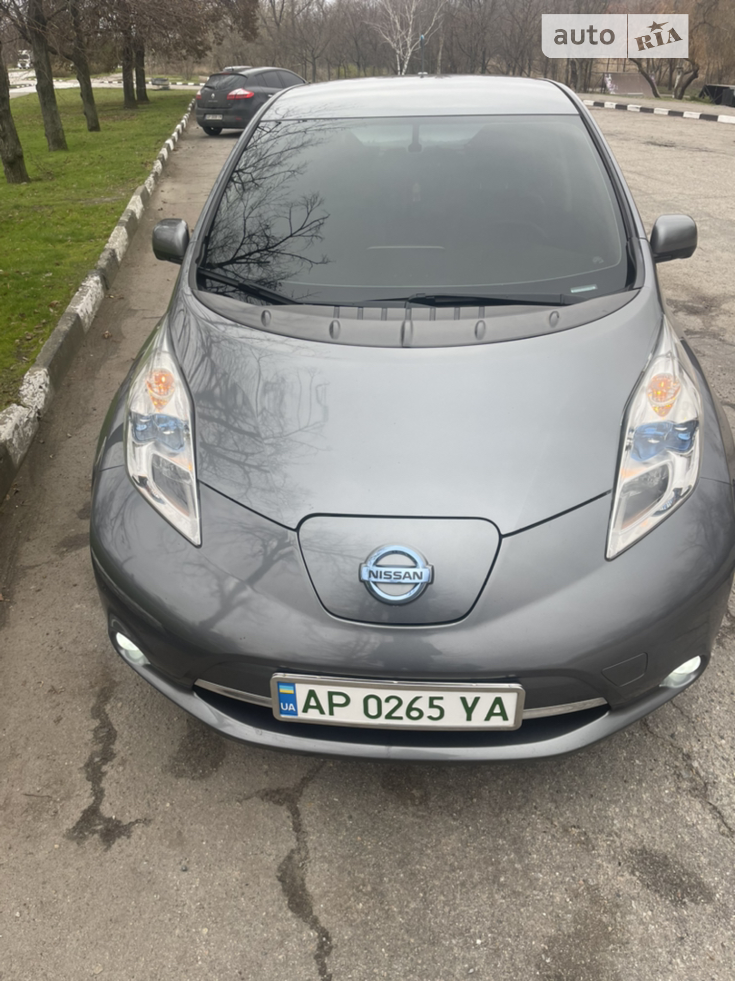 2014 Nissan Leaf - мініатюра 2