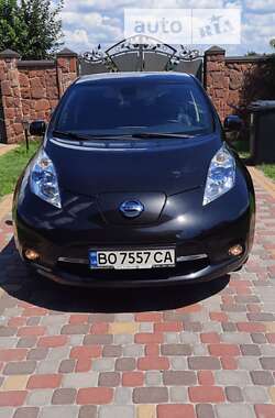 Nissan Leaf 2014