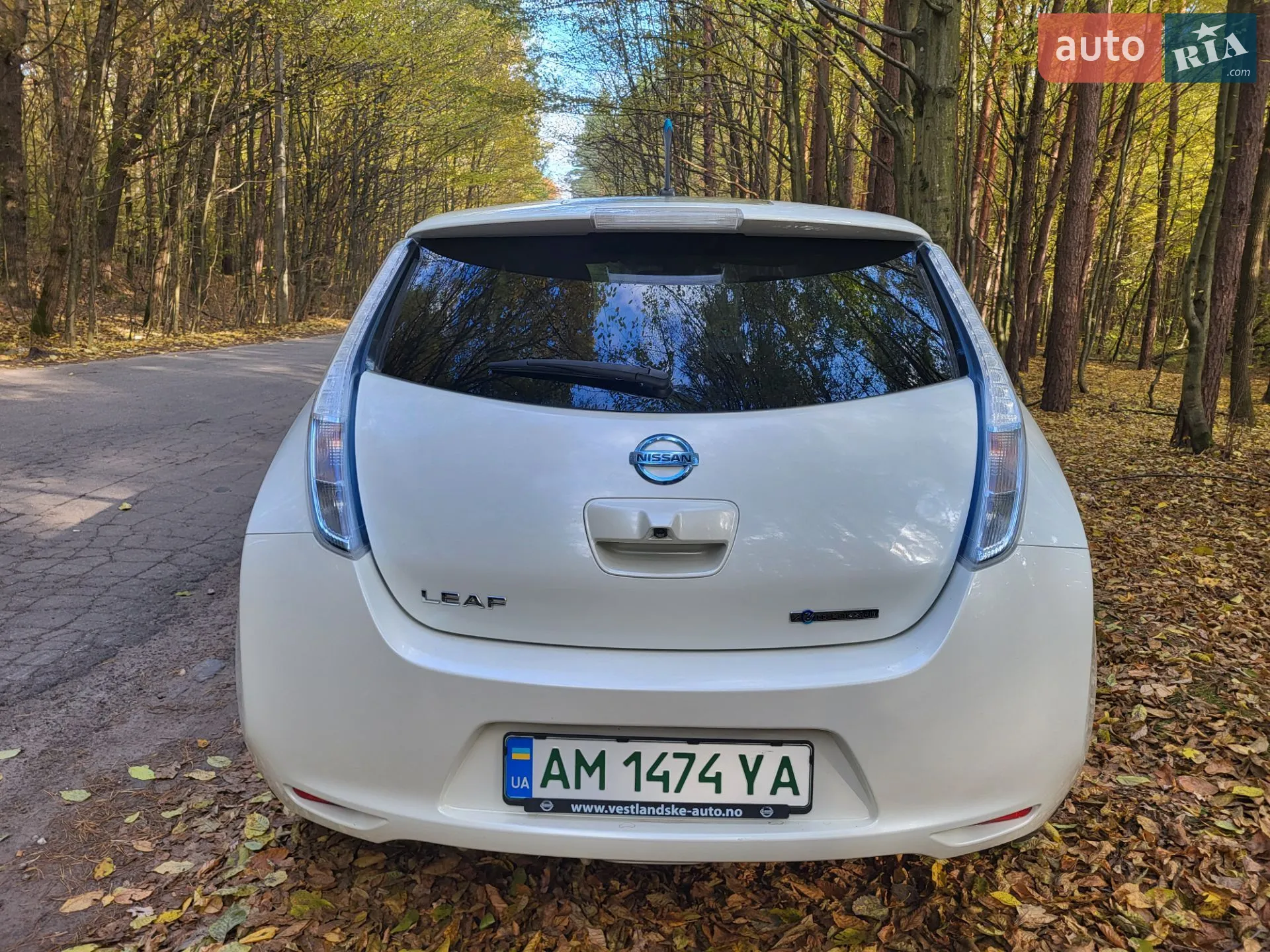 2014 Nissan Leaf - мініатюра 6