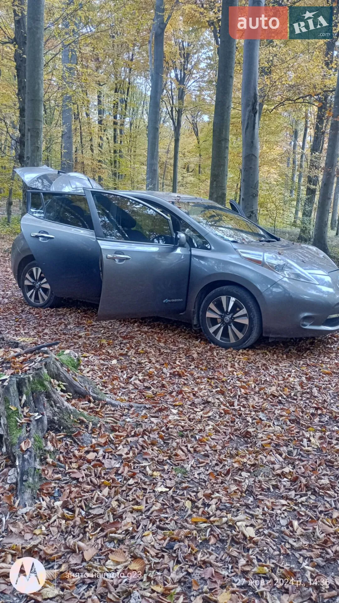 2014 Nissan Leaf - мініатюра 32