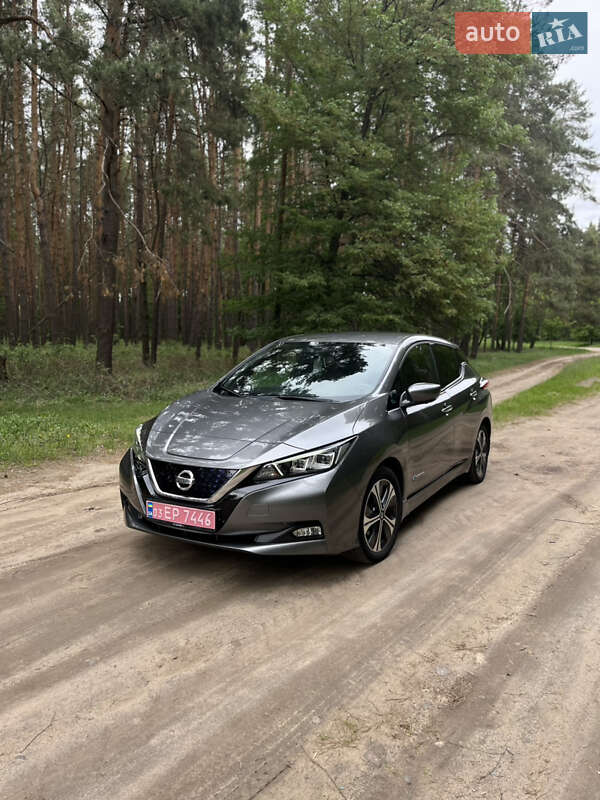Хетчбек Nissan Leaf 2019 в Бердичеві
