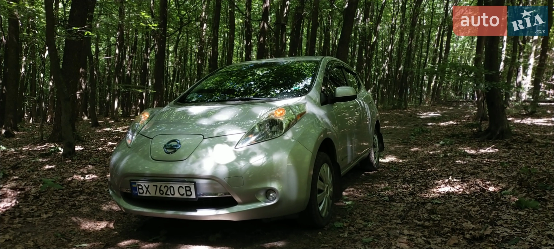 2014 Nissan Leaf - мініатюра 2