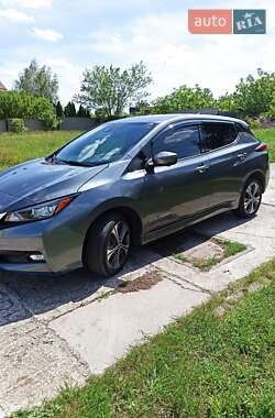 Хетчбек Nissan Leaf 2019 в Дніпрі