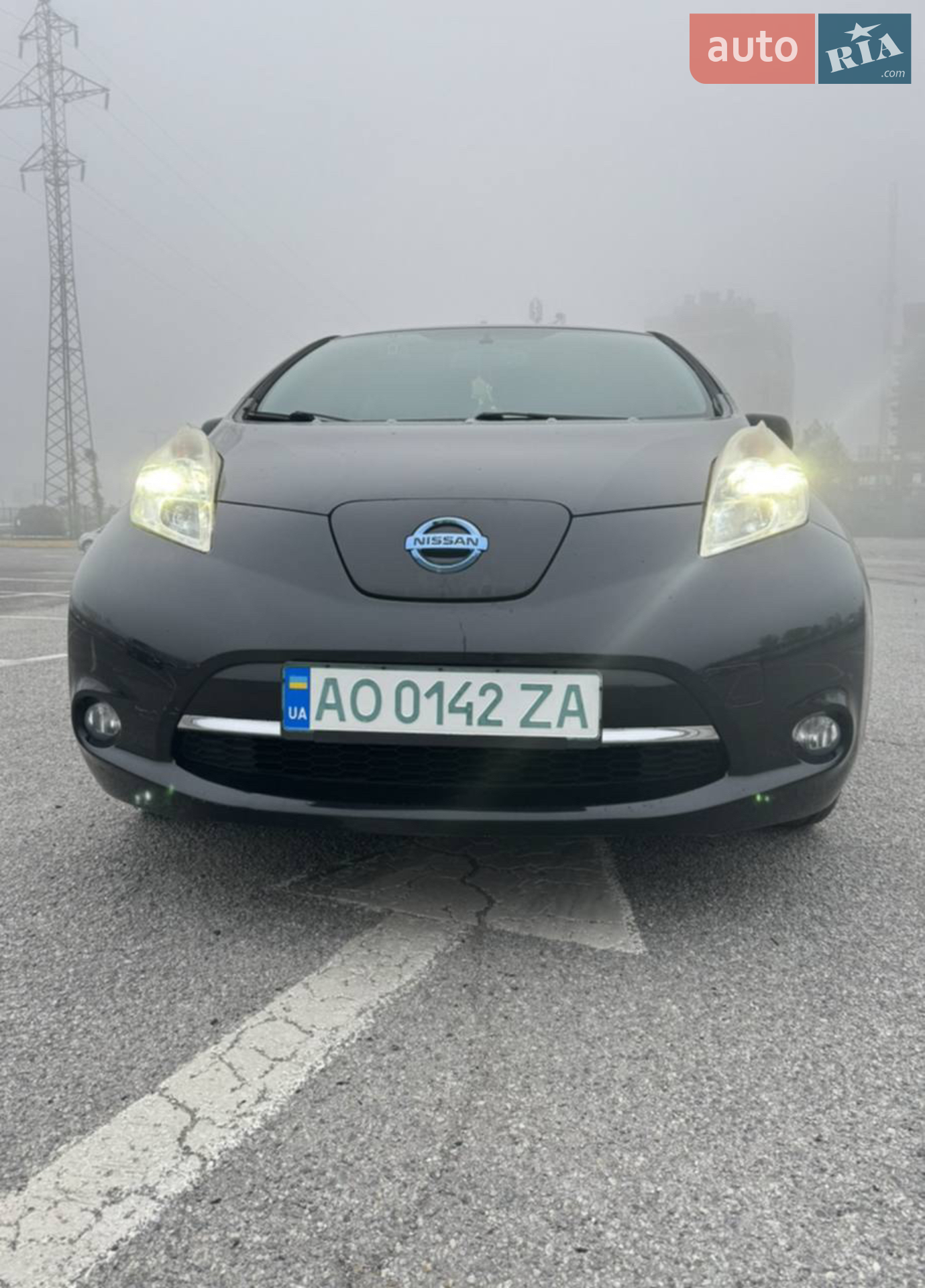 2013 Nissan Leaf - фото 1