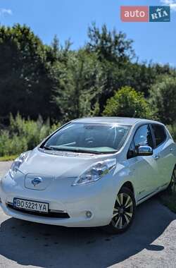 Nissan Leaf 2013 Nissan Leaf 2013