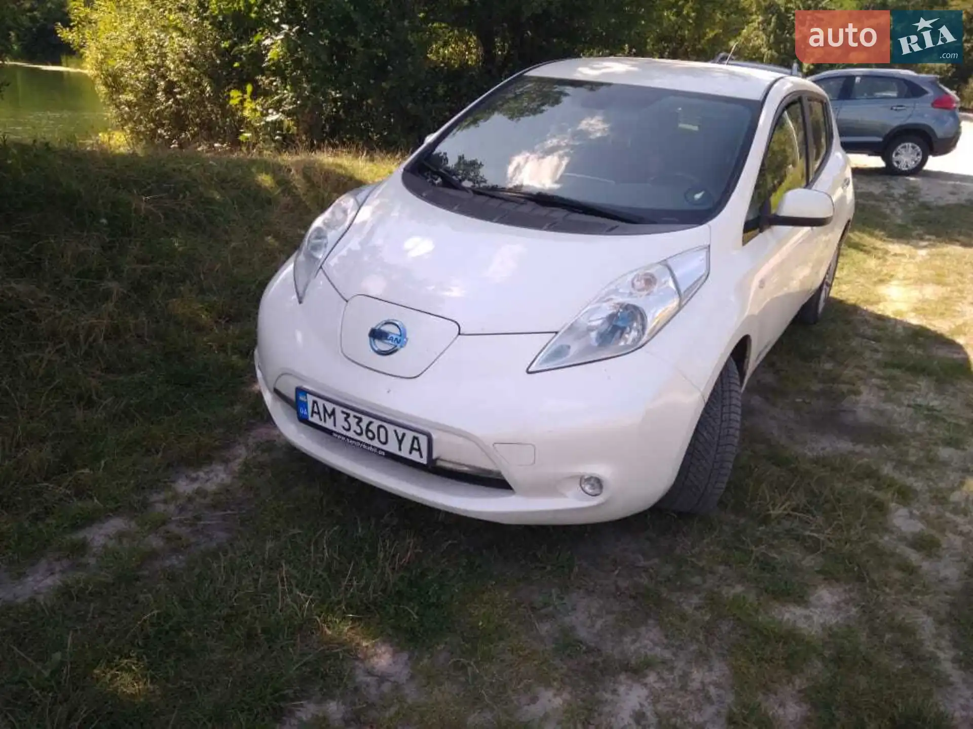 2013 Nissan Leaf - мініатюра 2