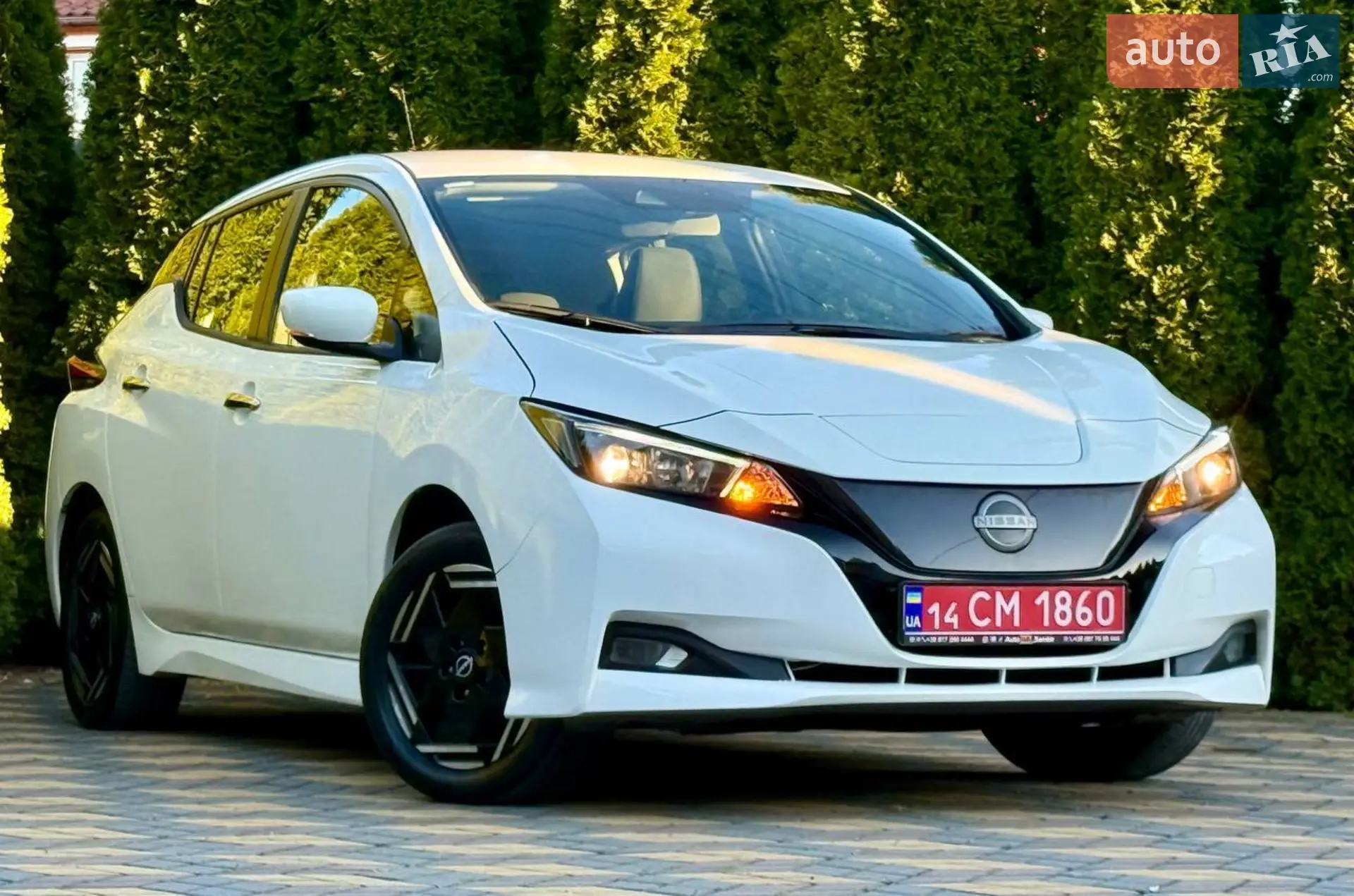 2022 Nissan Leaf - фото 1