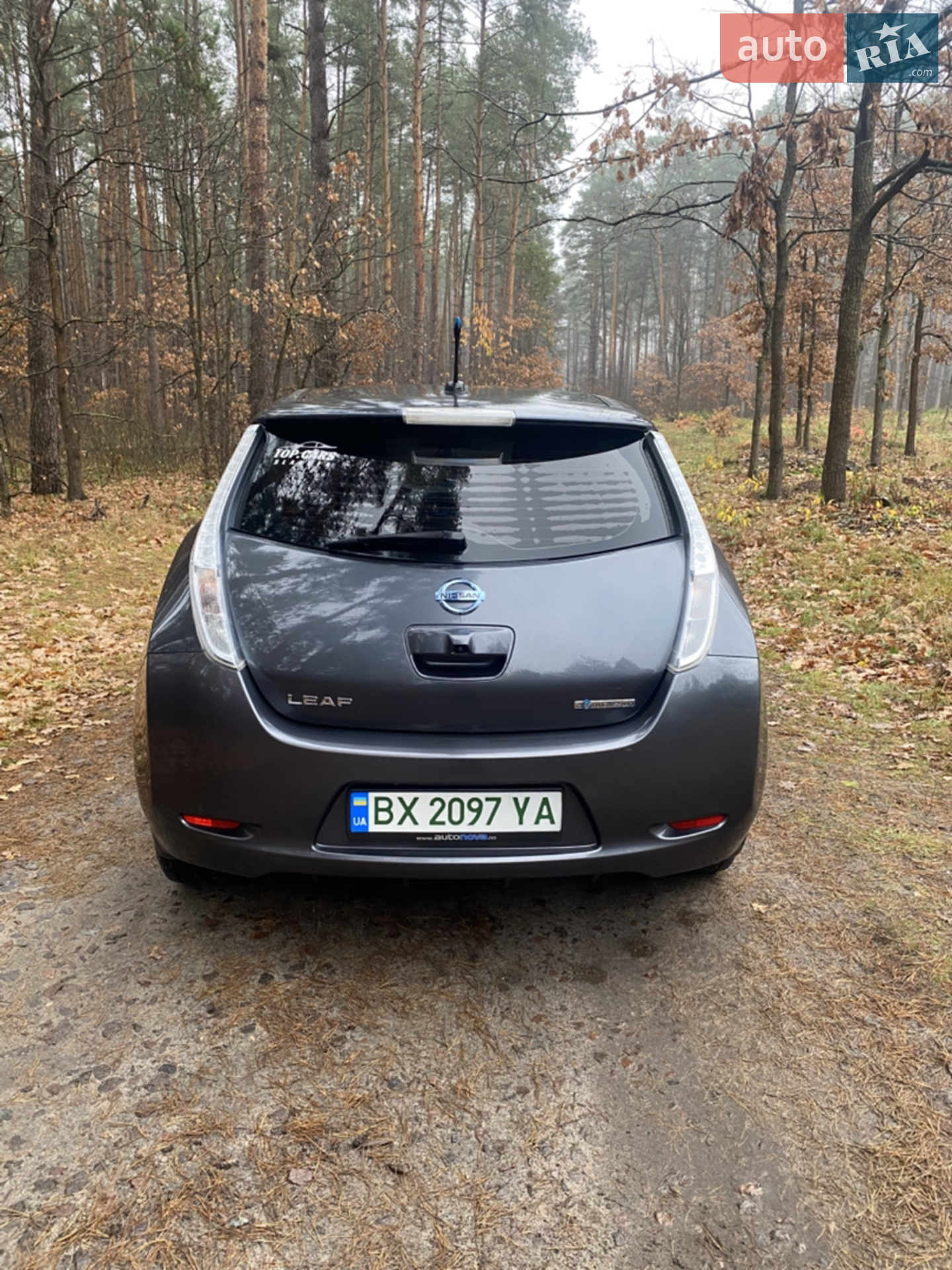 2013 Nissan Leaf - мініатюра 7