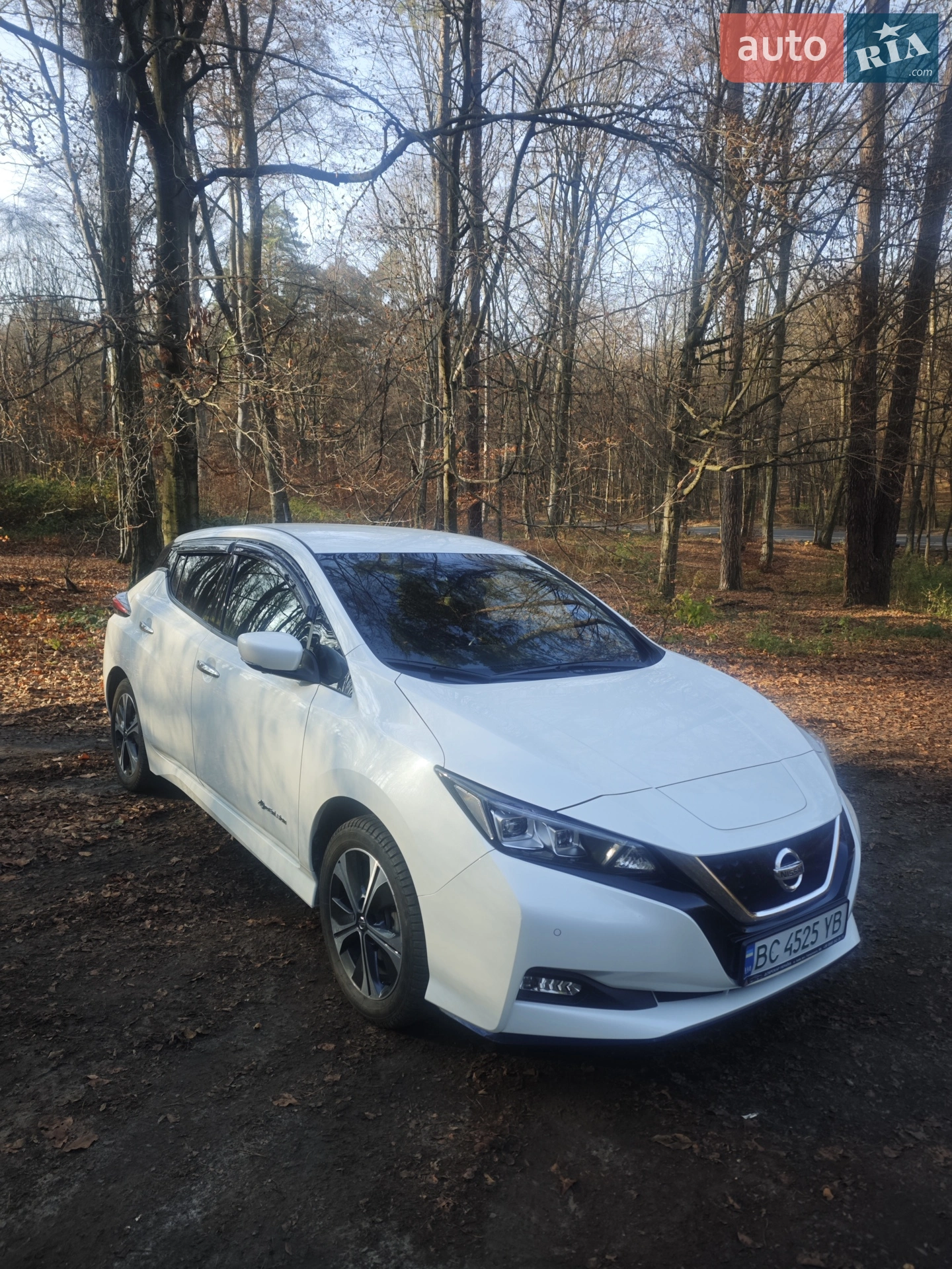 2019 Nissan Leaf - мініатюра 4