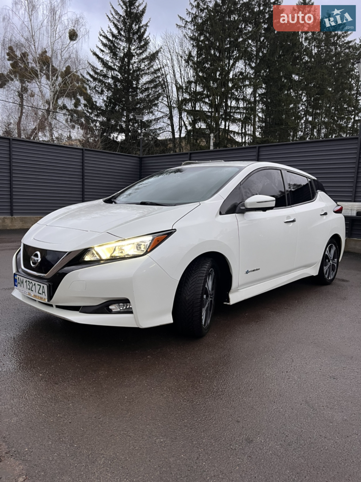 2019 Nissan Leaf - фото 1