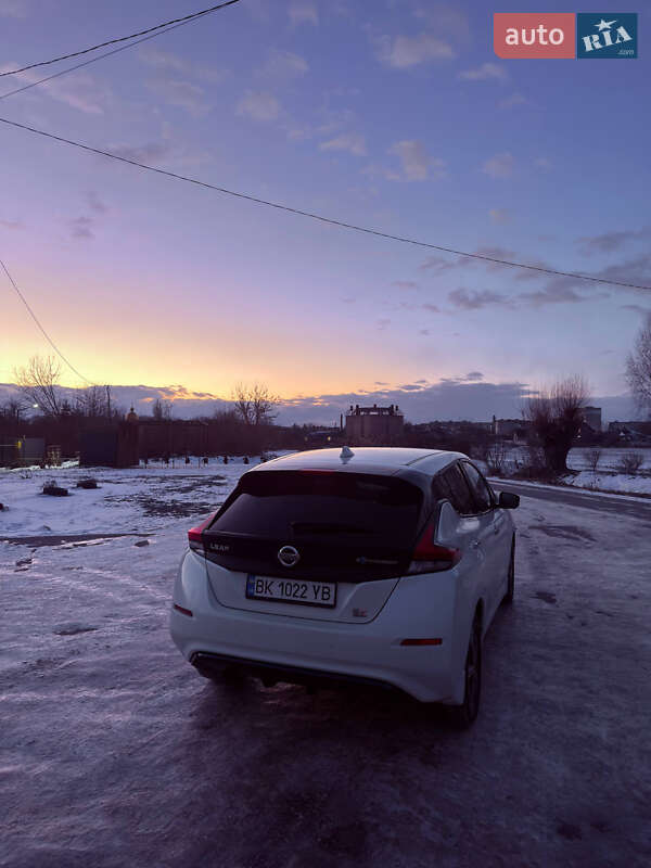 Хетчбек Nissan Leaf 2020 в Здолбуніві