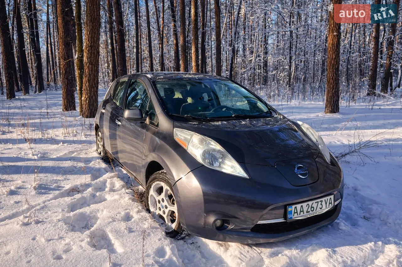 2013 Nissan Leaf - мініатюра 12