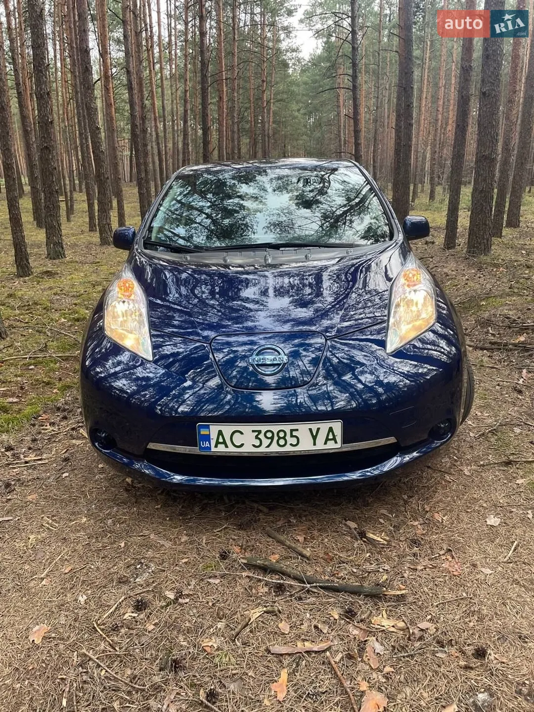 2017 Nissan Leaf - мініатюра 2