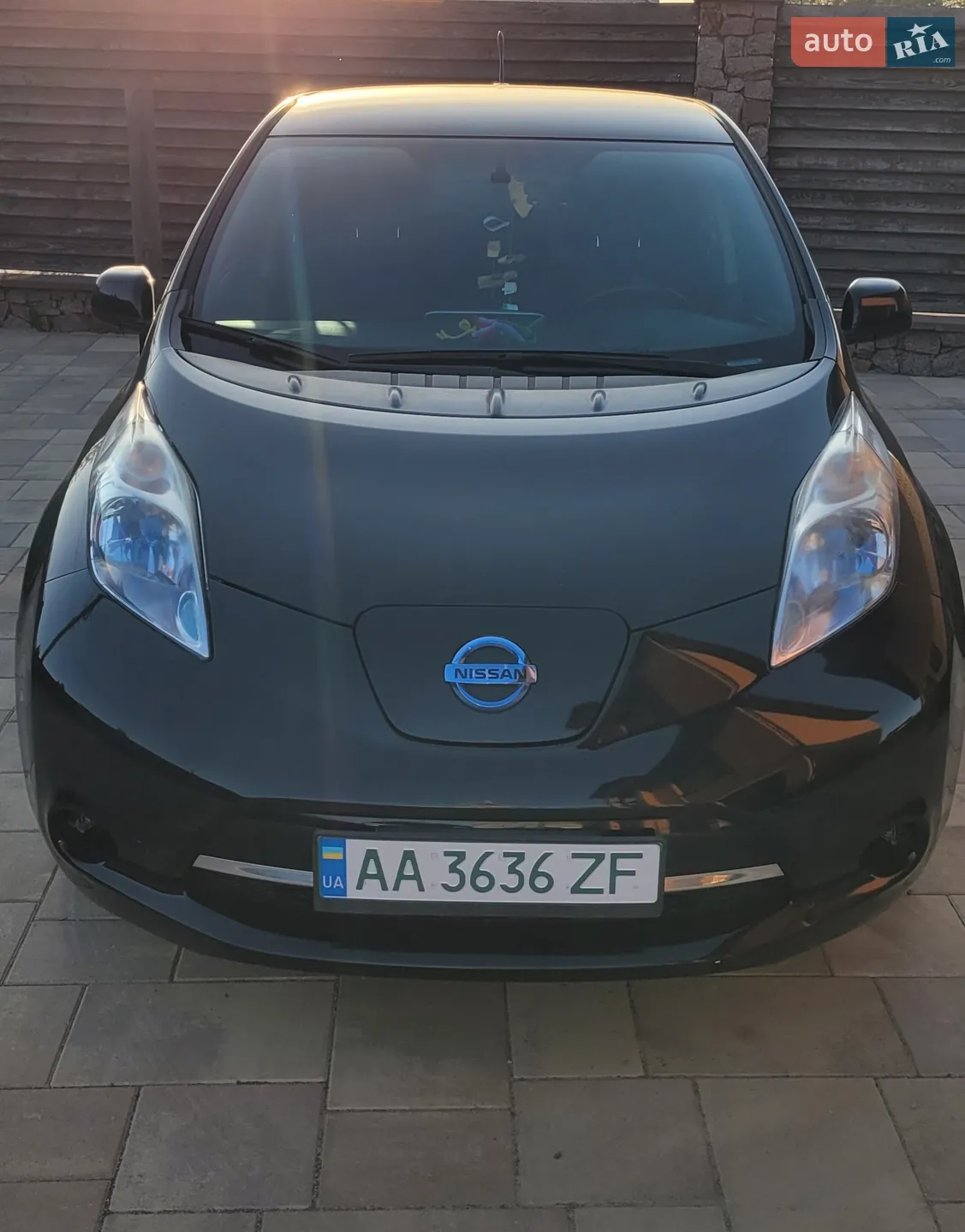 2013 Nissan Leaf - фото 1