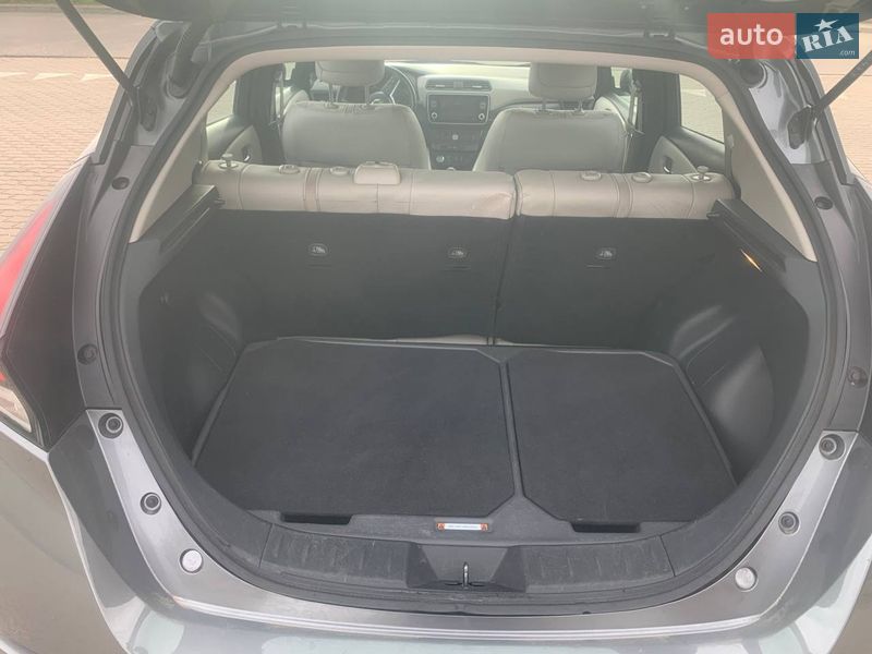 Хетчбек Nissan Leaf 2019 в Бродах фото 19 Хетчбек Nissan Leaf 2019 в Бродах