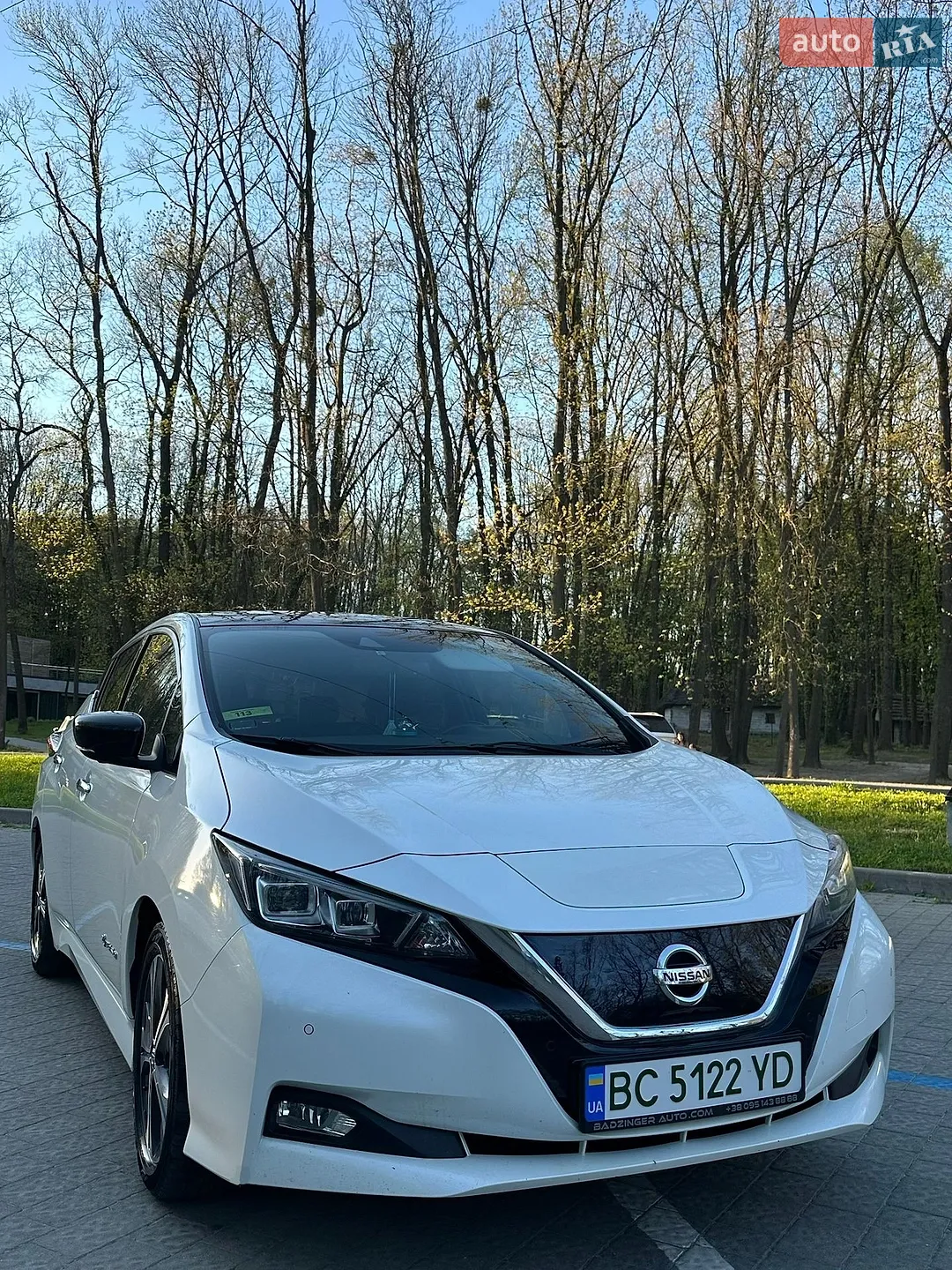 2018 Nissan Leaf - мініатюра 2