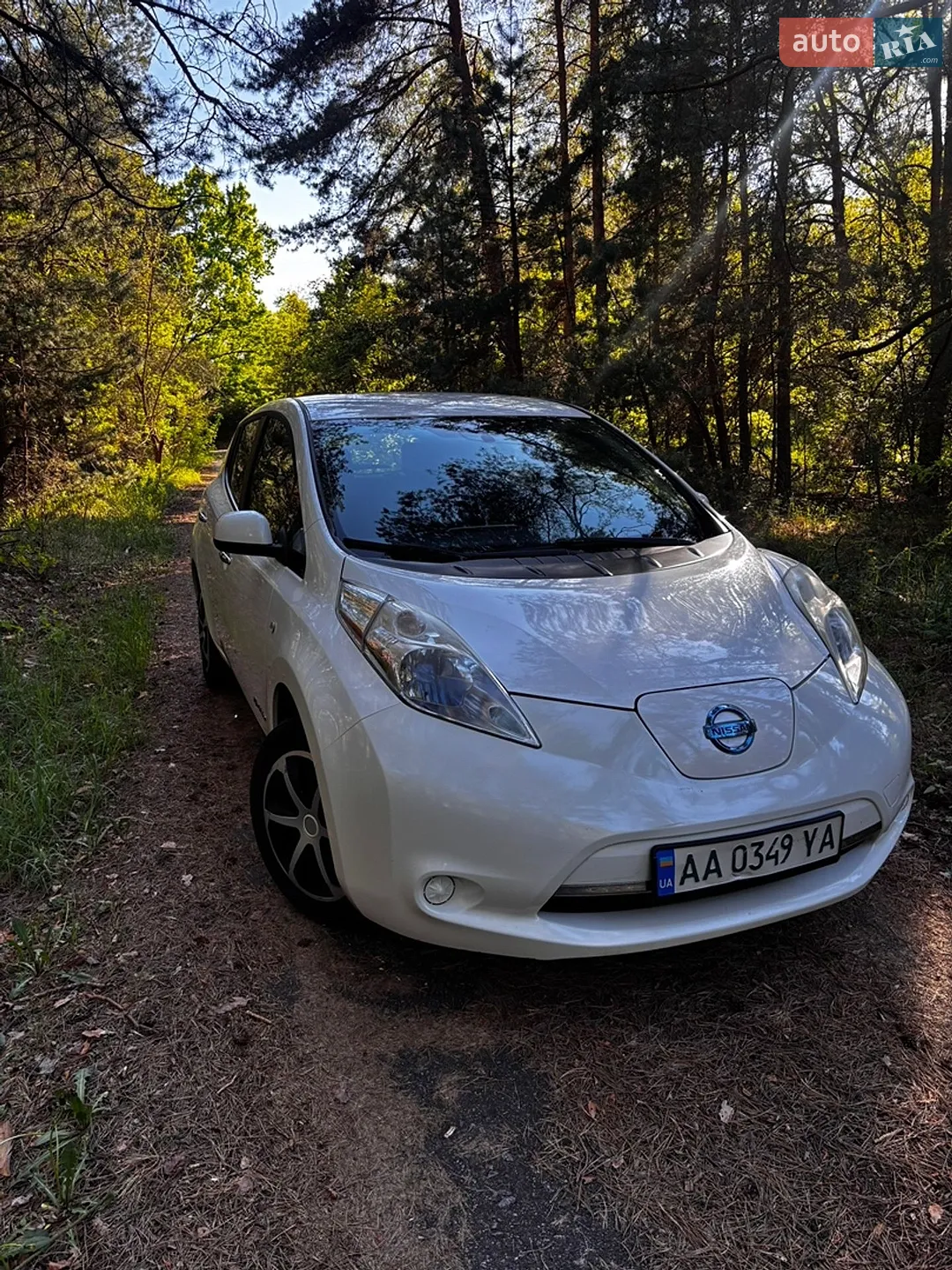 2014 Nissan Leaf - мініатюра 2