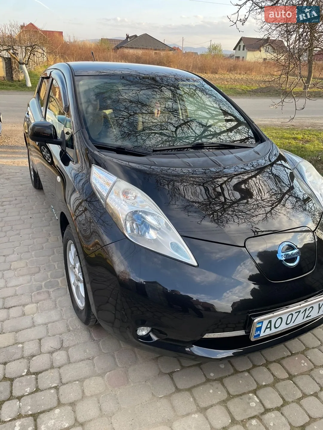 2013 Nissan Leaf - фото 1