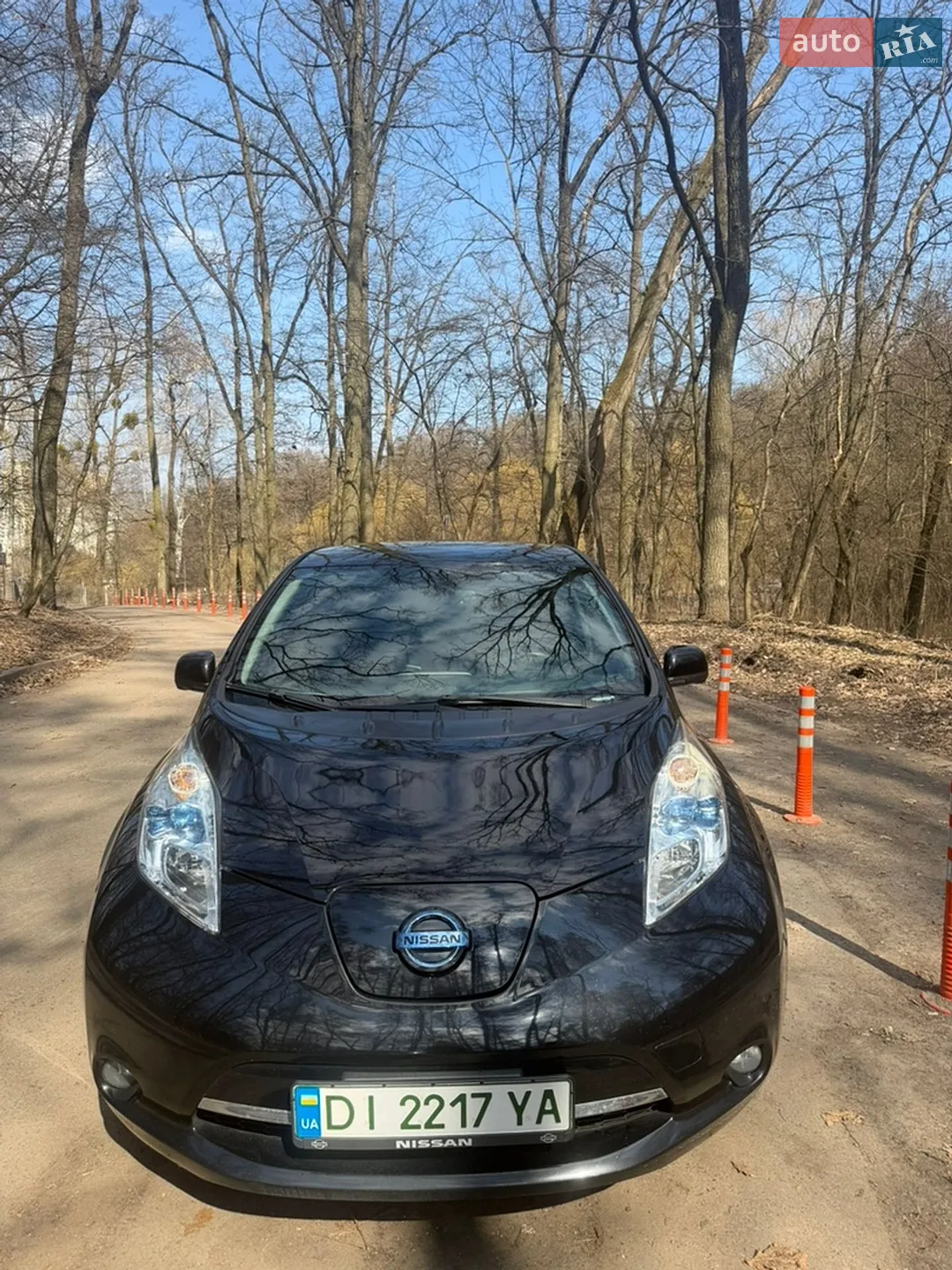 2014 Nissan Leaf - мініатюра 2