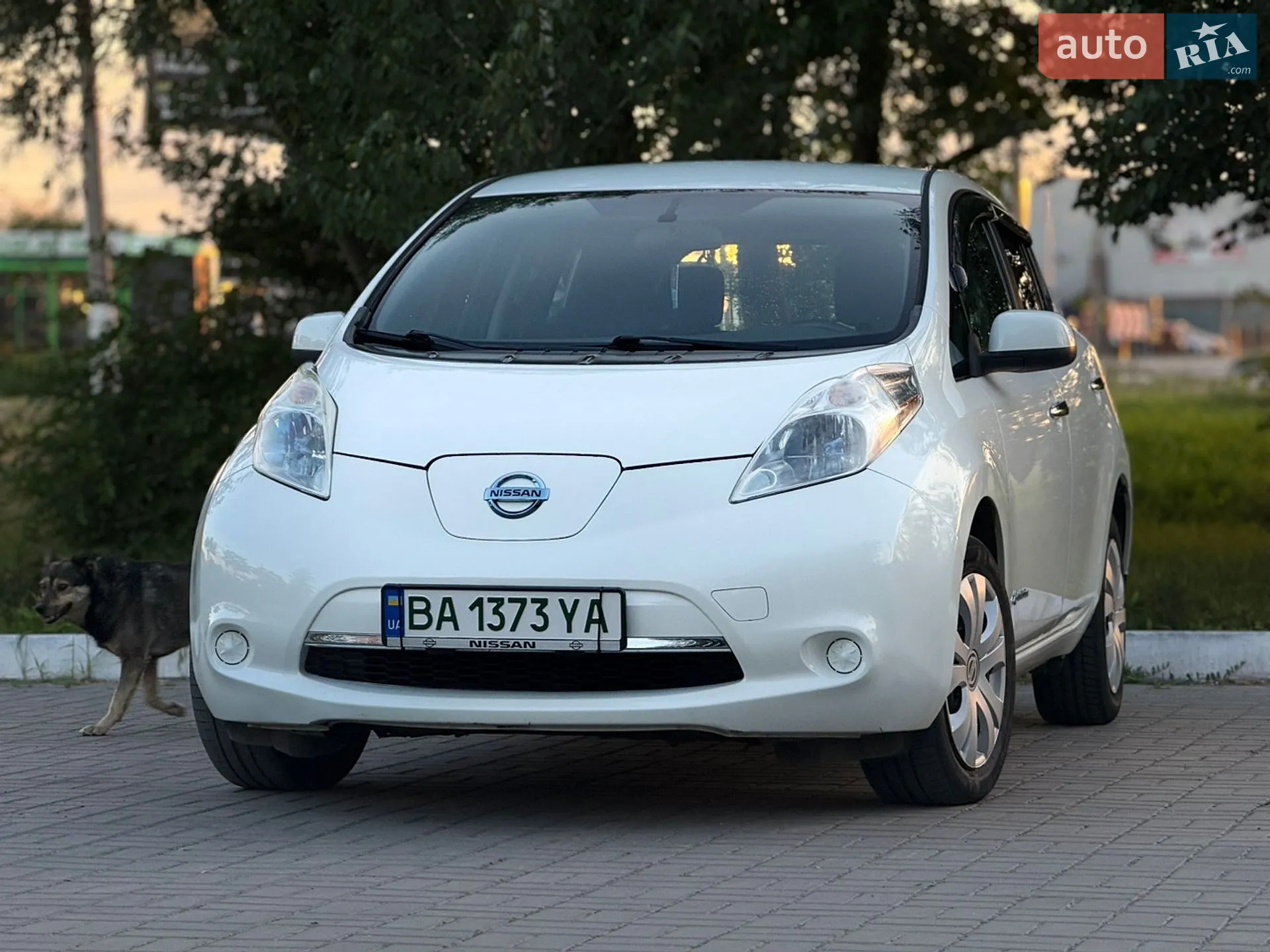 2013 Nissan Leaf - мініатюра 3