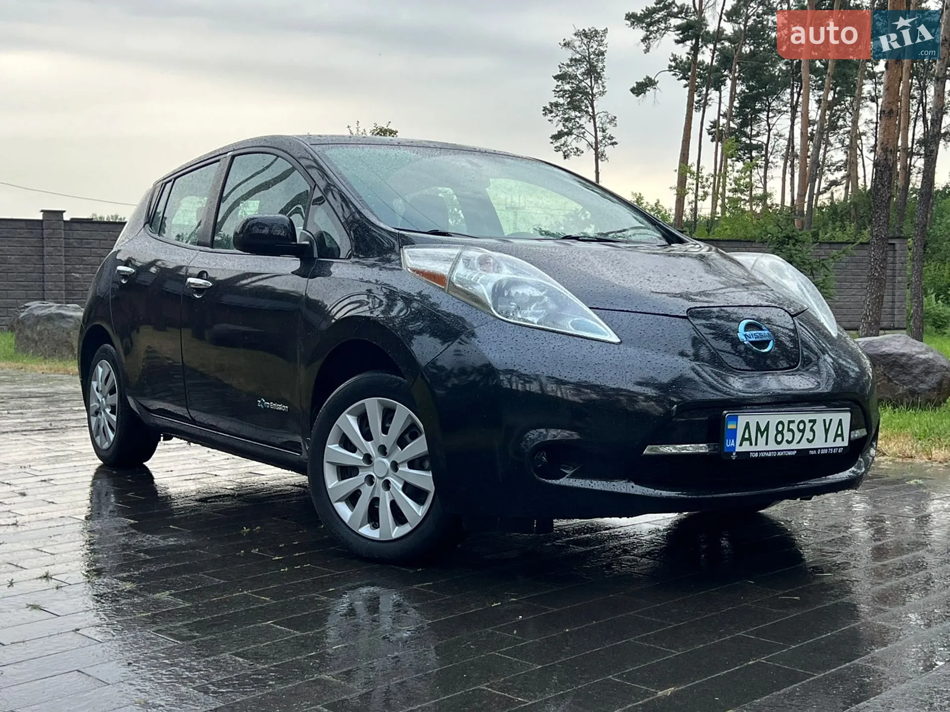 2015 Nissan Leaf - фото 1