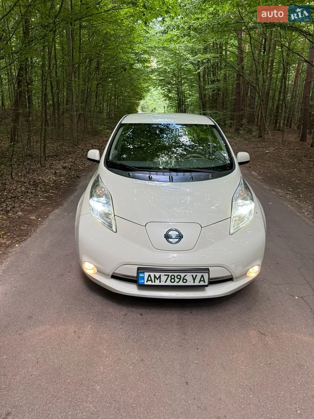 2010 Nissan Leaf - мініатюра 2