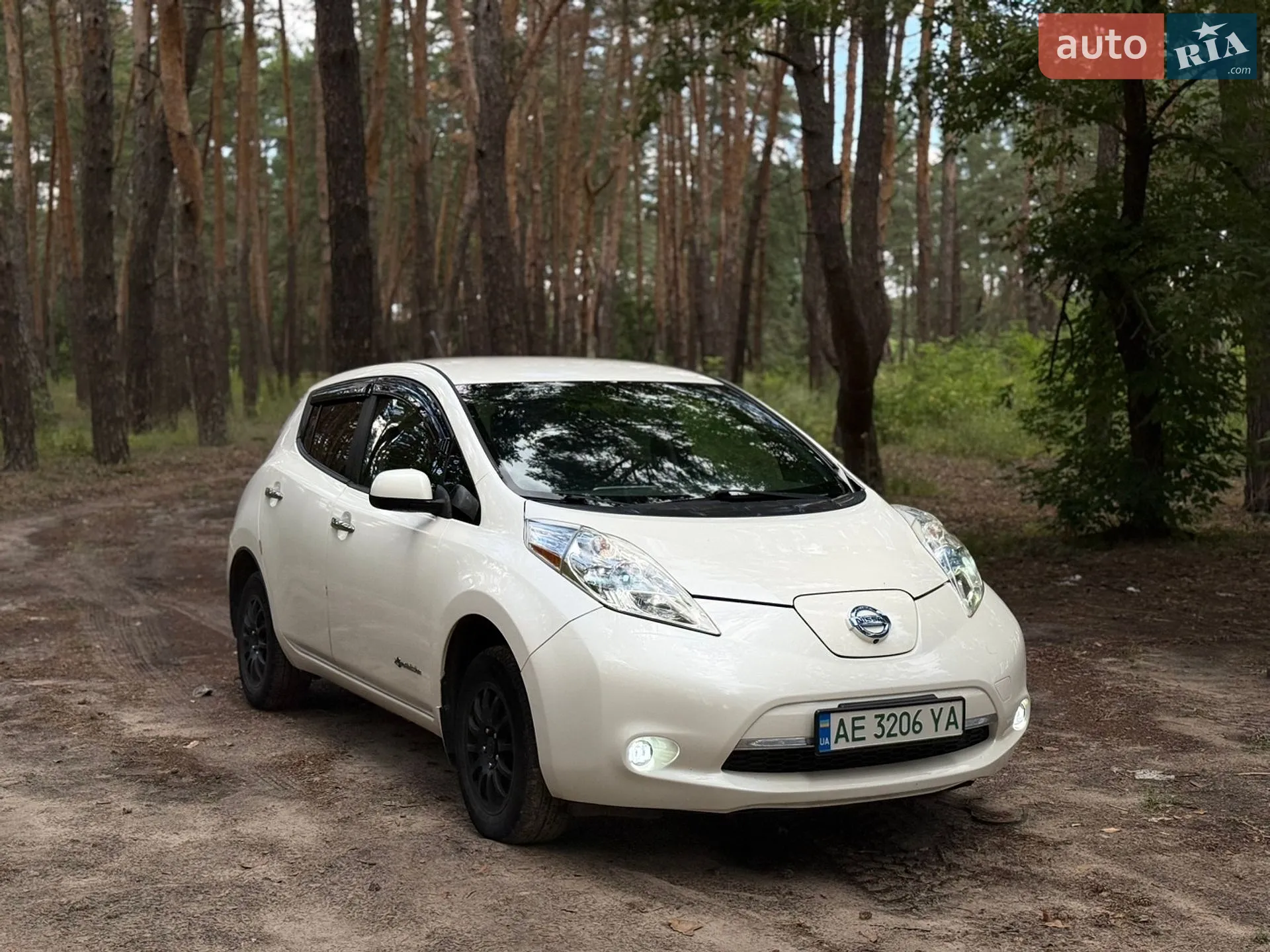 2013 Nissan Leaf - мініатюра 2