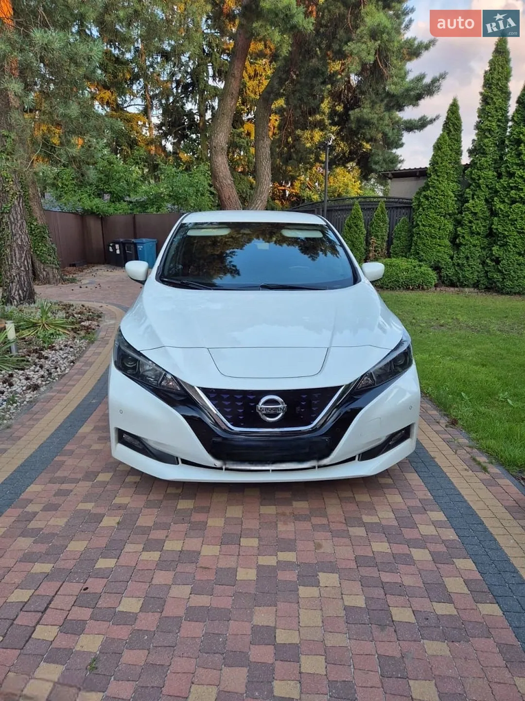 2019 Nissan Leaf - фото 1