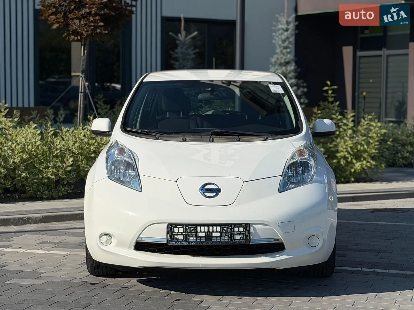2014 Nissan Leaf - мініатюра 2