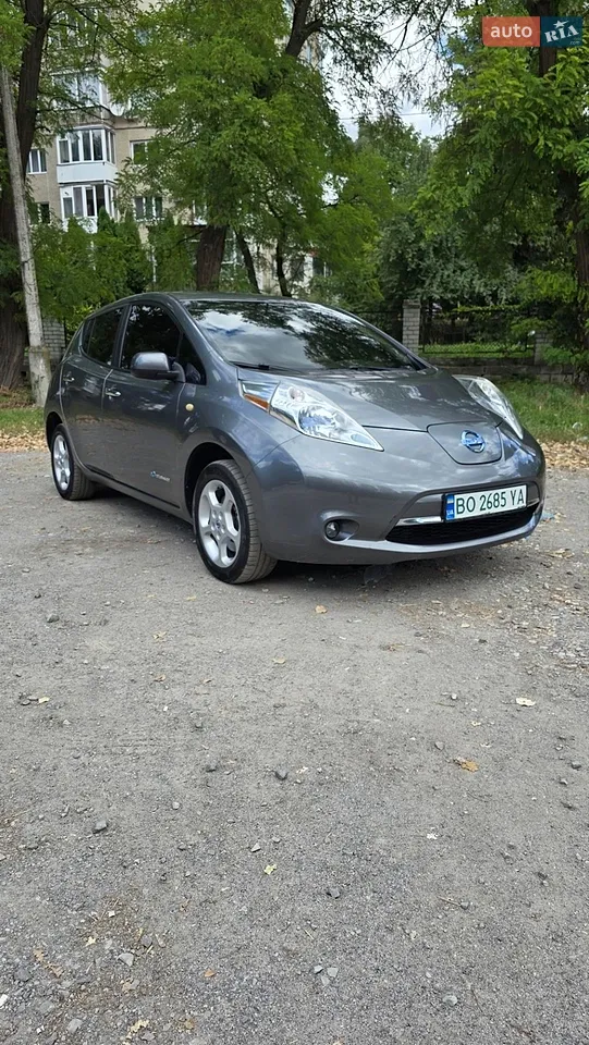 2013 Nissan Leaf - мініатюра 19