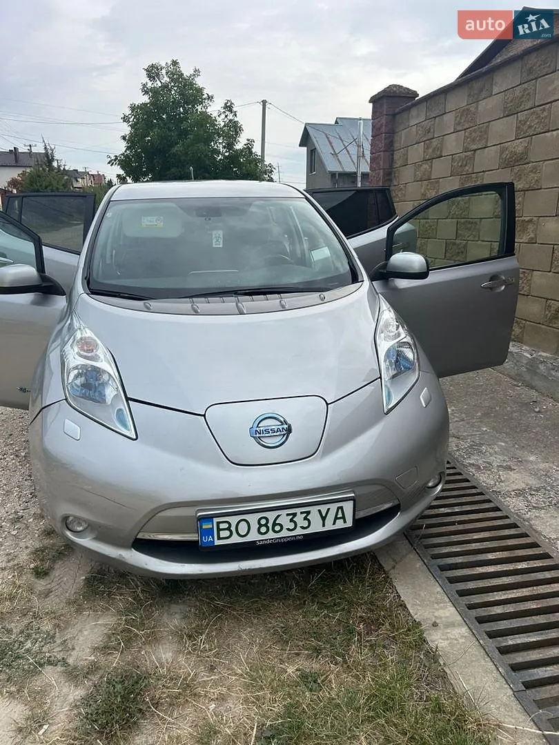 2014 Nissan Leaf - фото 1