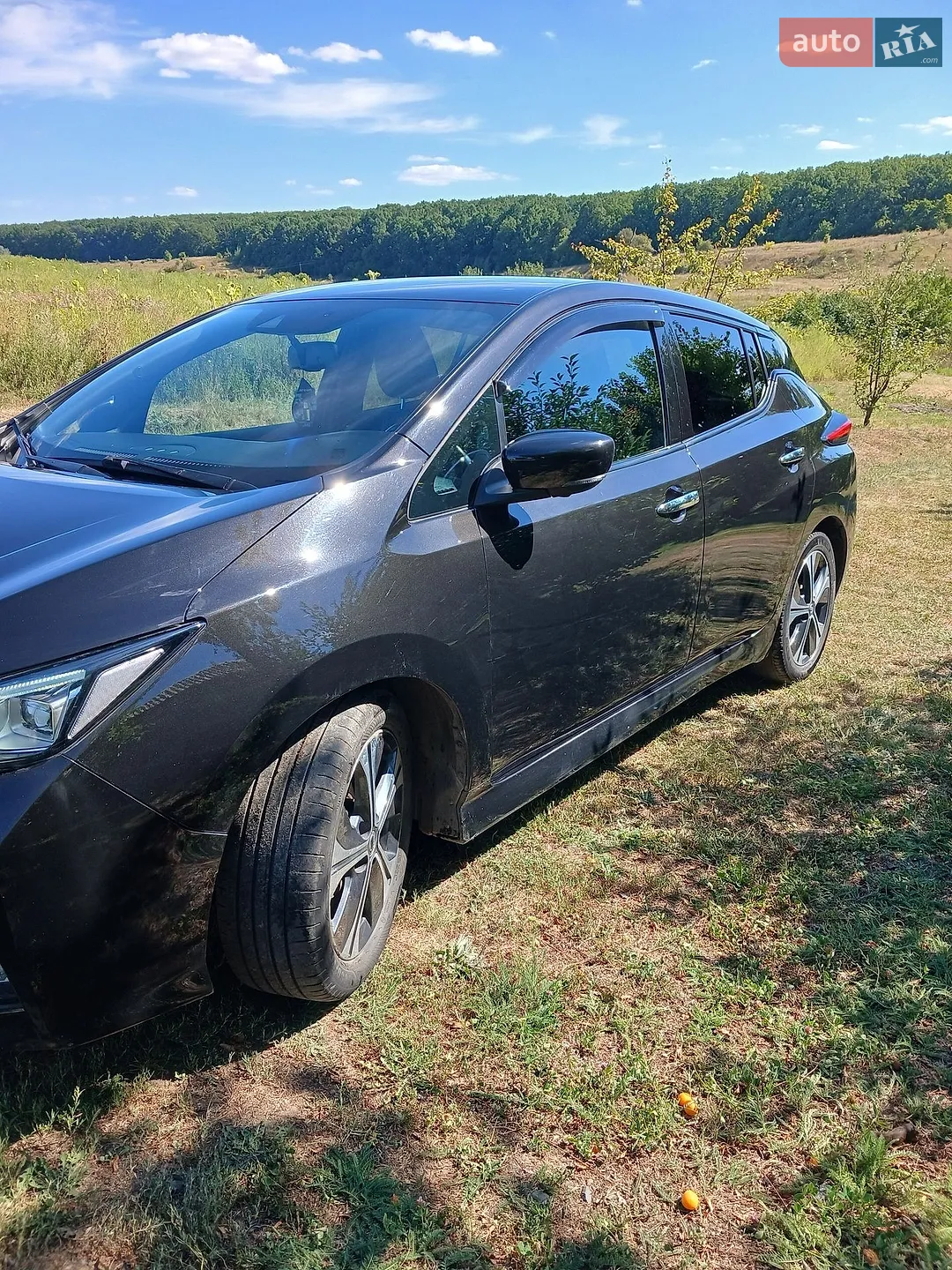 2020 Nissan Leaf - мініатюра 11