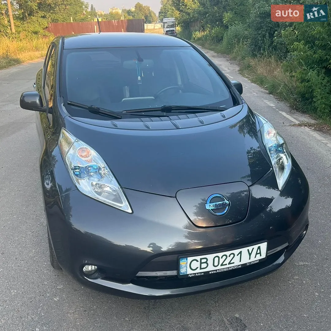 2013 Nissan Leaf - фото 1