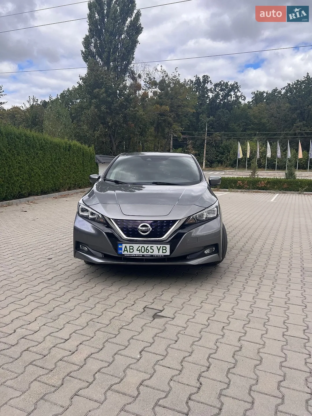 2019 Nissan Leaf - фото 1